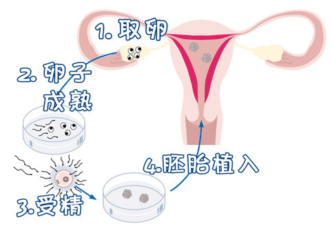 国医馆